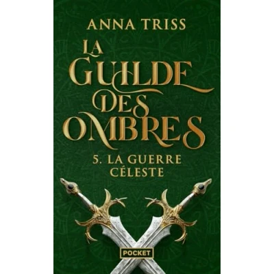 Afbeelding van LA GUILDE DES OMBRES,5:LA GUERRE CELESTE