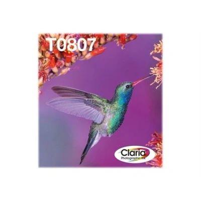 Image de Epson T0807 Noir Cyan Clair Jaune Magenta (c13t08074021)