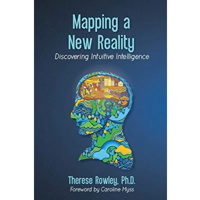 Afbeelding van Mapping a New Reality