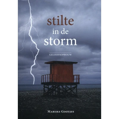 Afbeelding van Stilte in de storm
