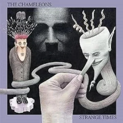 Afbeelding van Strange times