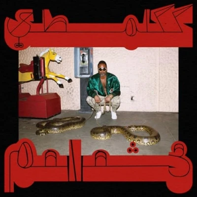 Afbeelding van Shabazz Palaces Robed In Rareness (CD)