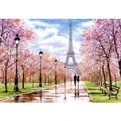 Afbeelding van Castorland Romantic Walk in Paris 1000 stukjes