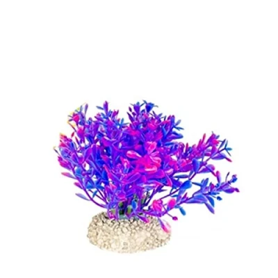 Afbeelding van Aqua Della Decor Planten Glosso Aquarium Kunstplant 9 cm Assorti