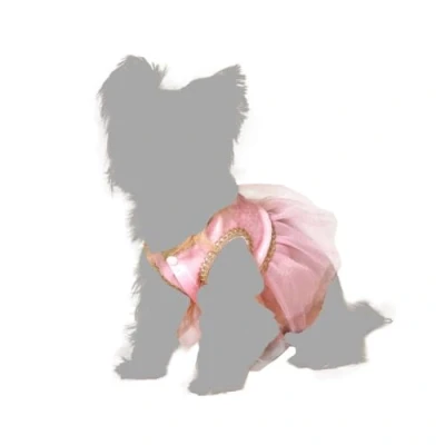 Afbeelding van Kostuum voor honden Maat L Balletdanseres