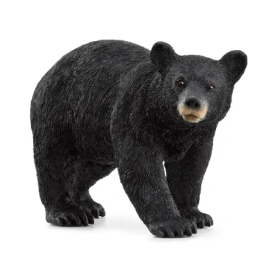 Image de schleich 14869 Ours noir, dès 3 ans, WILD LIFE figurine, 4 x 12 6 cm