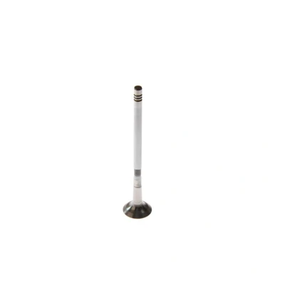 Afbeelding van Uitlaatklep FRECCIA R6640/BMCR