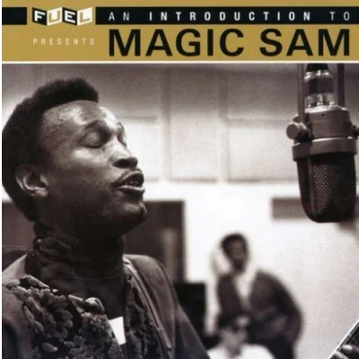 Afbeelding van Introduction to Magic Sam
