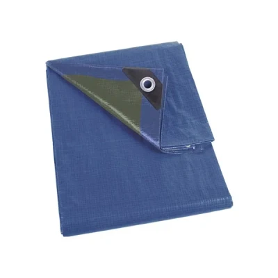 Afbeelding van Dekzeil blauw/groen standaard 2 x 8 m Velleman