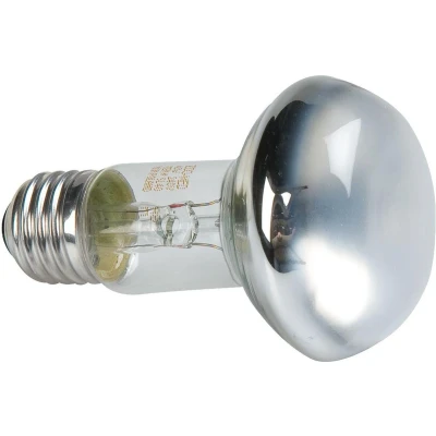 Afbeelding van Zoomed Baskingspot 60watt
