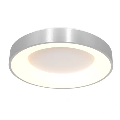 Afbeelding van Plafondlamp Steinhauer Ringlede Zilver