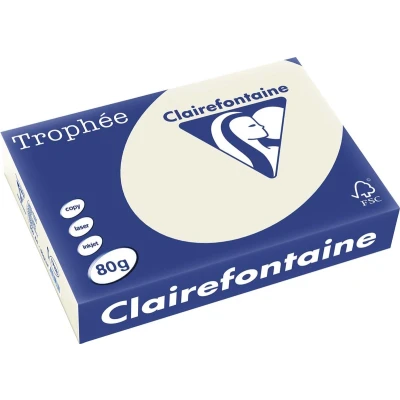 Afbeelding van Kopieerpapier Trophee A4 80gr parelgrijs 500vel