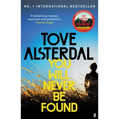 Afbeelding van High Coast series You Will Never Be Found
