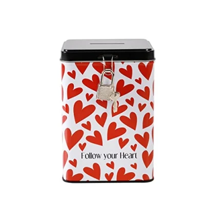 Afbeelding van I TOTAL® Grappige spaarpot met slot en sleutel, metalen sluiting (Follow Your Heart)
