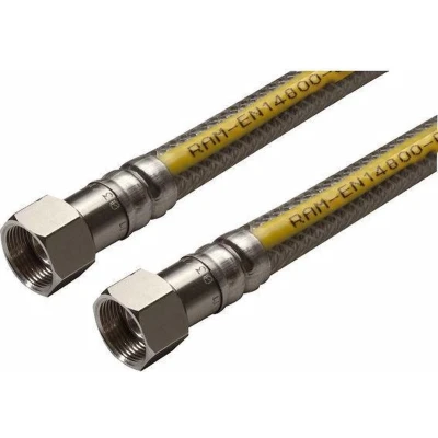 Afbeelding van Raminex RVS gasslang Superflex Premium M24 100