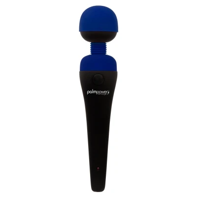 Afbeelding van PalmPower Recharge Wand Massager Blue