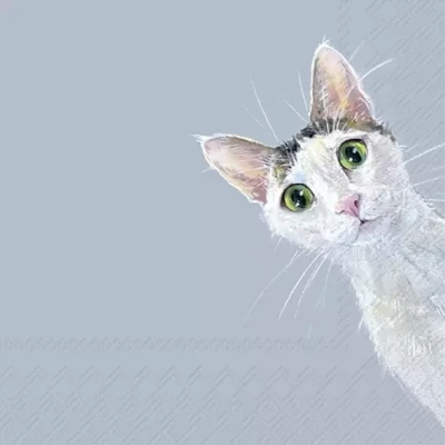 Afbeelding van IHR Servetten 33x33 cm CAT STELLA light blue