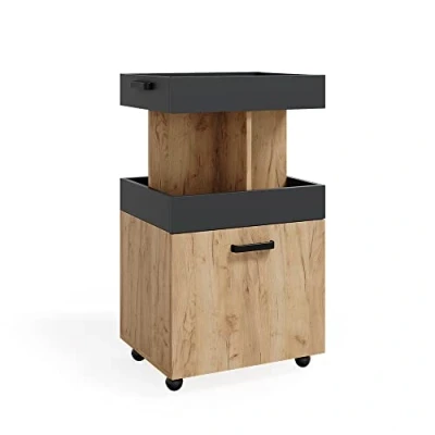 Afbeelding van Vicco Rolcontainer Kamber, Krachtige eik goud/Antraciet, 50 x 88.6 cm