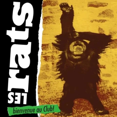 Afbeelding van Les Rats Bienvenue Au Club (CD)