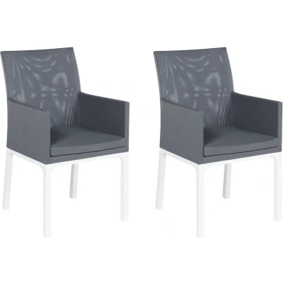 Afbeelding van Beliani BACOLI Tuinstoel set van 2 Grijs Polyester