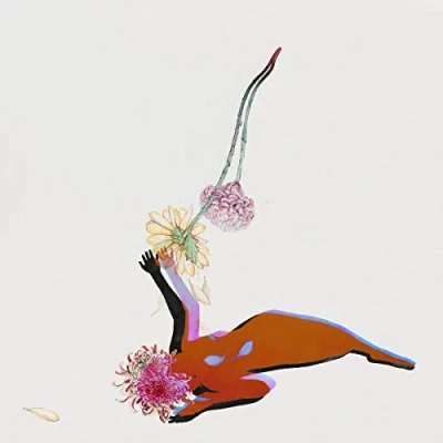 Afbeelding van Future Islands Far Field