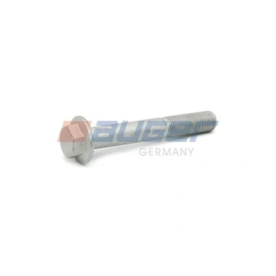 Afbeelding van Schroef AUGER 59279