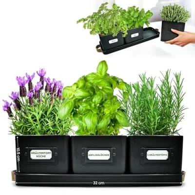Afbeelding van Green Thumbz Set van 3 kruidenpotten voor keukenvensterbank, zwart, met leren handgreep, ideaal kruidentuin, planten en bloemen, etiketten