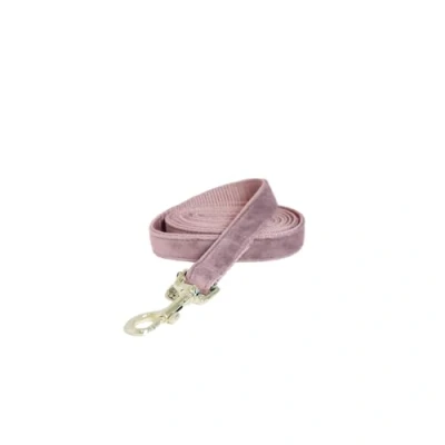 Afbeelding van Kentucky Dogwear Dog Lead Velvet hondenriem, lichtblauw