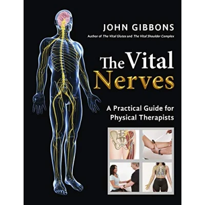 Afbeelding van The Vital Nerves