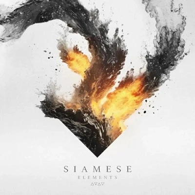 Afbeelding van Siamese Elements (LP)