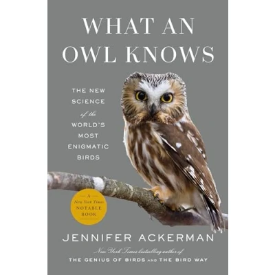 Afbeelding van What an Owl Knows