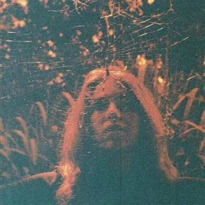 Afbeelding van Turnover Peripheral Vision (LP)