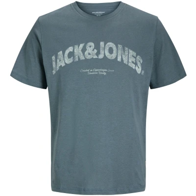 Afbeelding van JACK&amp;JONES PLUS JORALMERIA BOLD BRANDING TEE SS CN PLS Heren T shirt Stormy Weather