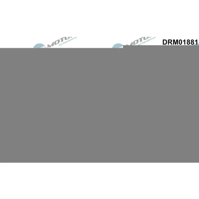 Afbeelding van DR.MOTOR AUTOMOTIVE DRM01881 Kleppendeksel Pakking JAGUAR: F Pace, Type Convertible, LAND ROVER: Range Rover 4, Sport