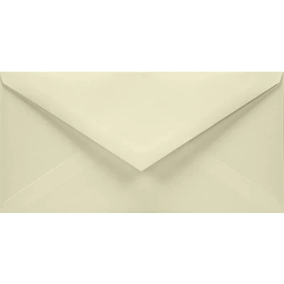 Afbeelding van Netuno 100 ivoorkleurige enveloppen DL 110 x 220 mm 120 g Aster Smooth Ivoor lange elegante van hoge kwaliteit voor wenskaarten uitnodigingen bruiloft doop communie verjaardagen