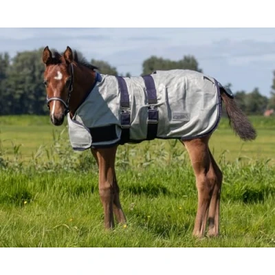 Afbeelding van QHP Couverture anti mouches pour poulain Argent Polyester Classique Vêtements animaux