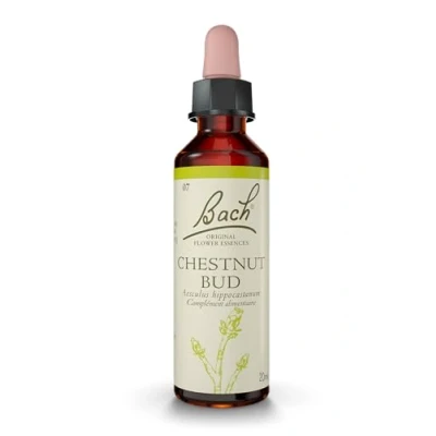 Afbeelding van Fleurs de Bach Original Kastanjeknop 20 ml