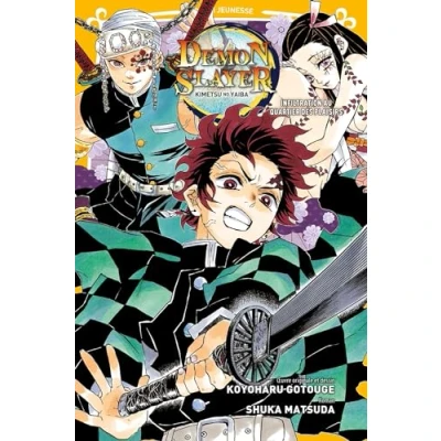 Afbeelding van DEMON SLAYER ROMAN JEUNESSE,04