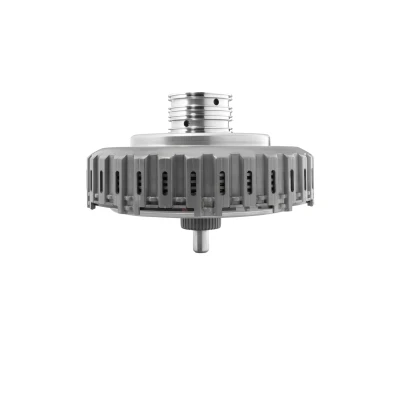 Afbeelding van Koppelingsset BorgWarner (AWD) 202153