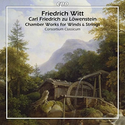 Afbeelding van Witt / Lowenstein: Chamber Works For Winds &amp; Strings