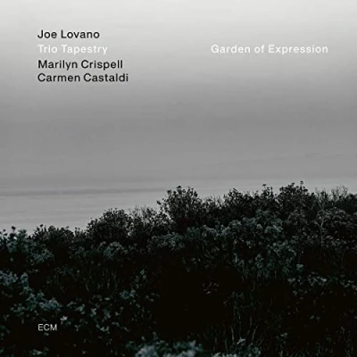 Afbeelding van Joe Lovano, Marilyn Crispell, Carmen Castaldi Garden Of Expression (CD)