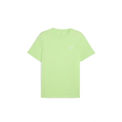 Afbeelding van Puma Small LOGO TEE Tshirt basic, Heren, Maat: Large, Spring fern
