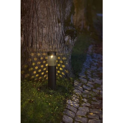 Afbeelding van Solar Priklamp Zwart Warm Wit 39CM Zonne Energie