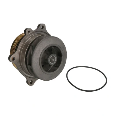 Afbeelding van THERMOTEC WP IV112 Waterpomp Met riemschijf pakking Mechanisch