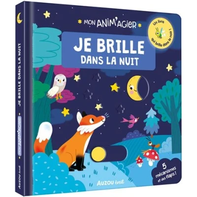 Image de Mon anim&#039;agier je brille dans la nuit