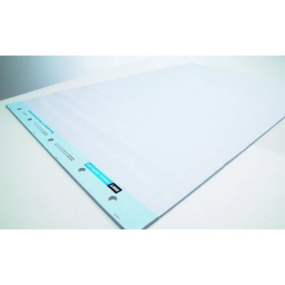 Afbeelding van Flip overpapier, rol 5 x 20 vel, blanco/geruit