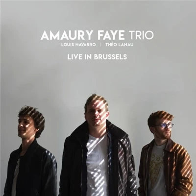 Afbeelding van Amaury Faye Trio Live In Brussels (CD)