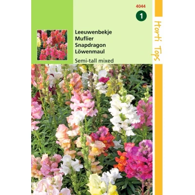 Afbeelding van 2 stuks Buzzy Antirrhinum Majus Nanum Gemengd