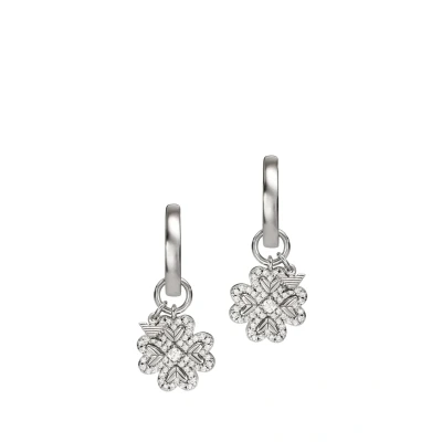 Afbeelding van Emporio Armani dames Oorringen van Zilver EG3608040 in de kleur