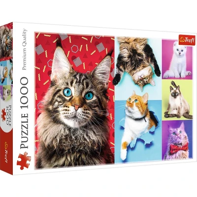 Afbeelding van Trefl puzzel 1000 stukjes katten